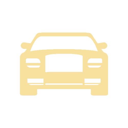 Luxurious Limo