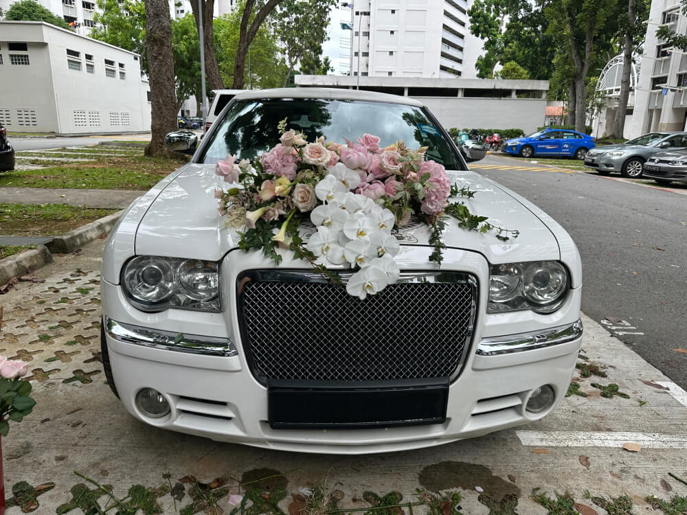 Determining Your Specific Needs