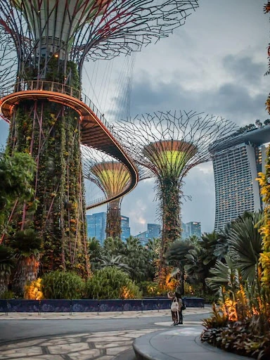 Marina Bay Sands and Gardens by the Bay